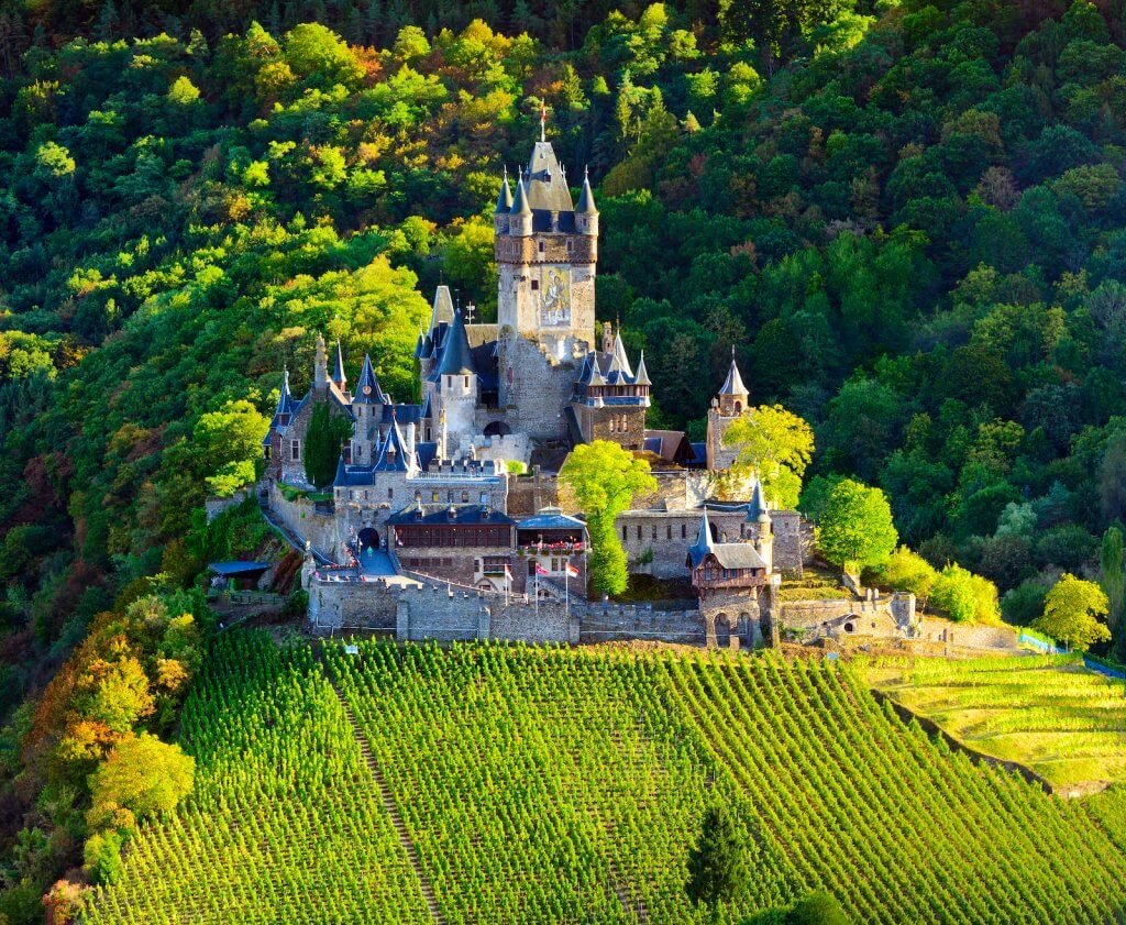 Cochem castle vineyards