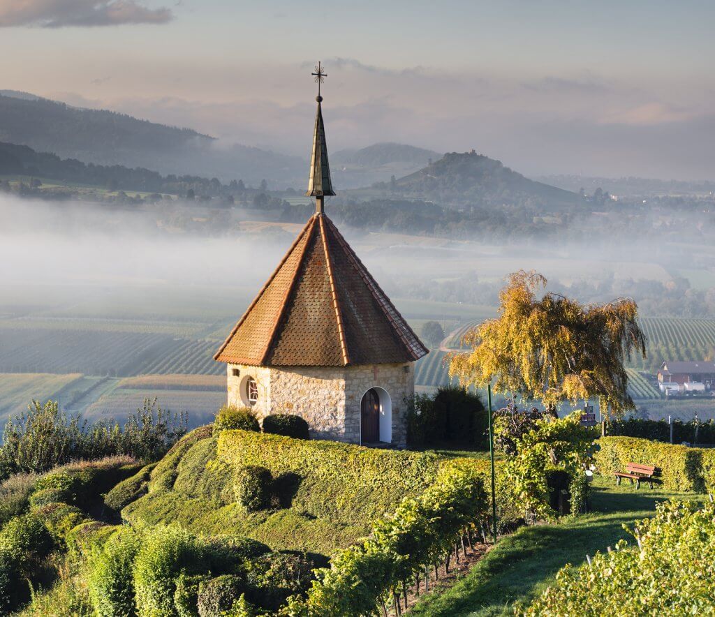 vineyards, Ehrenstetten, Freiburg, Germany