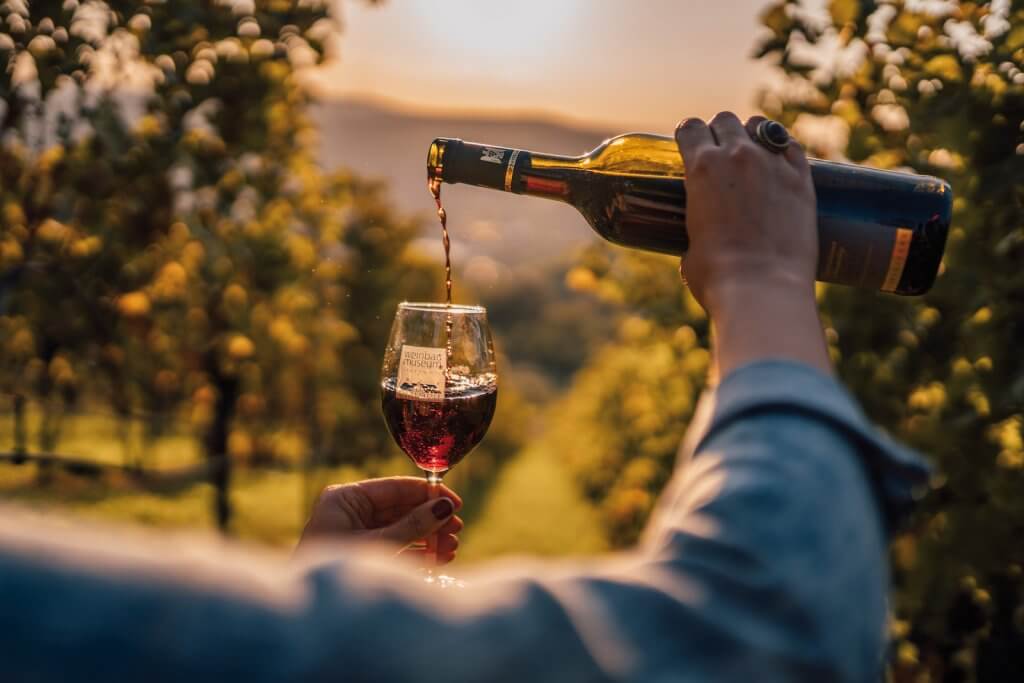 wine pouring from bottle in vineyard